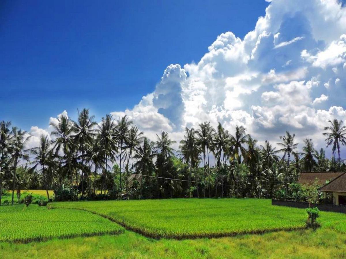 Pondok Ayu Soca Ubud Eksteriør bilde
